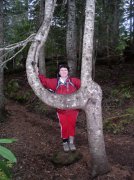 Tom Dick and Harry Peak 078 